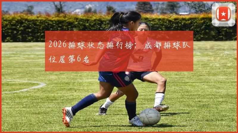 2026排球状态排行榜：成都排球队位居第6名