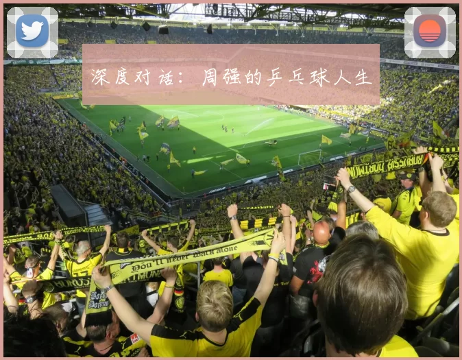 深度对话：周强的乒乓球人生